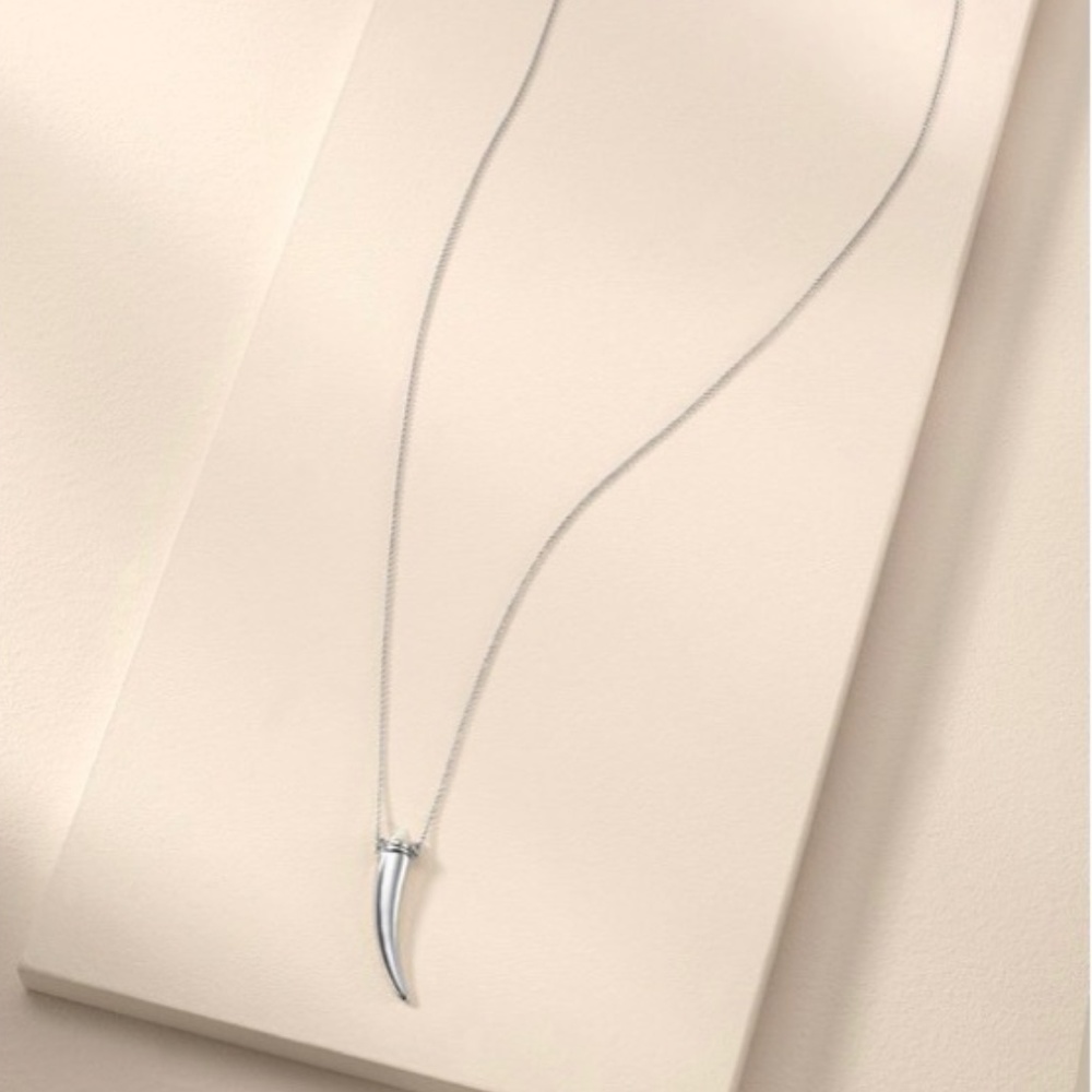 :: Stella & Dot Delicate Horn Necklace - Picture 3 of 9